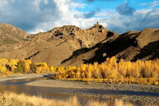 Shoshone National Forest